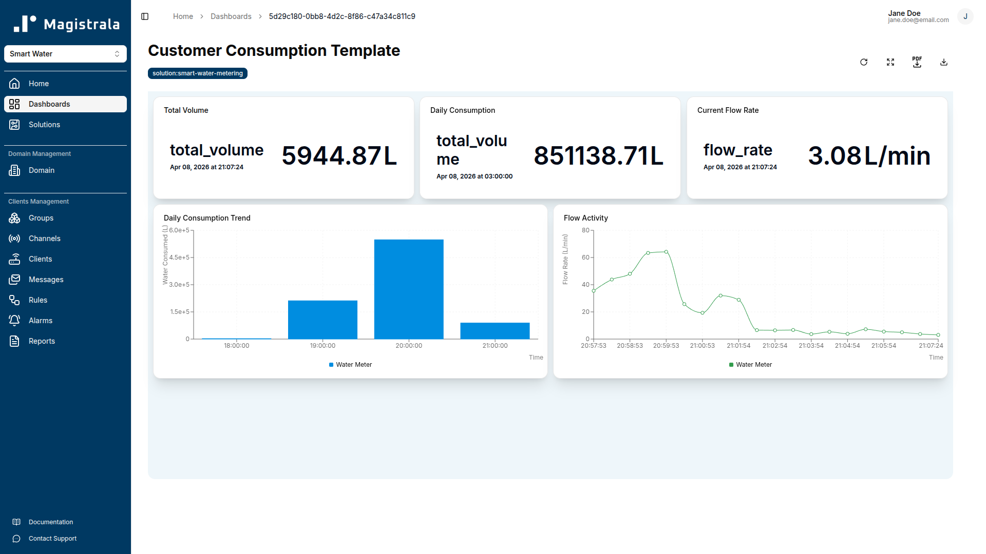 Customer Consumption Template
