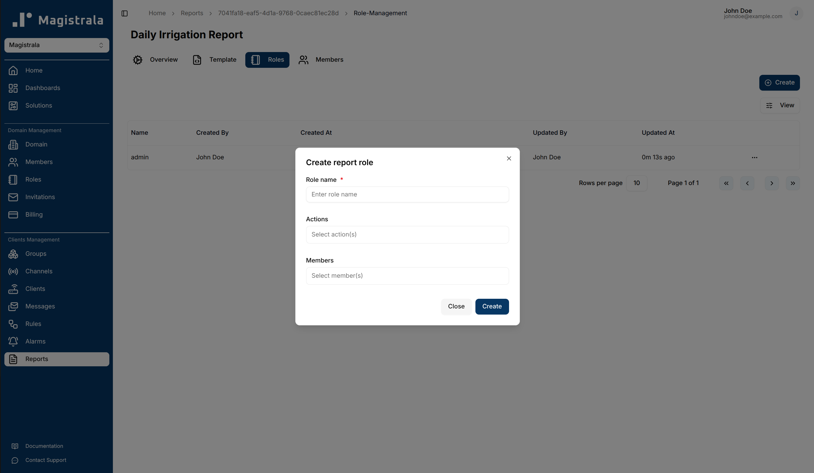 Report role create